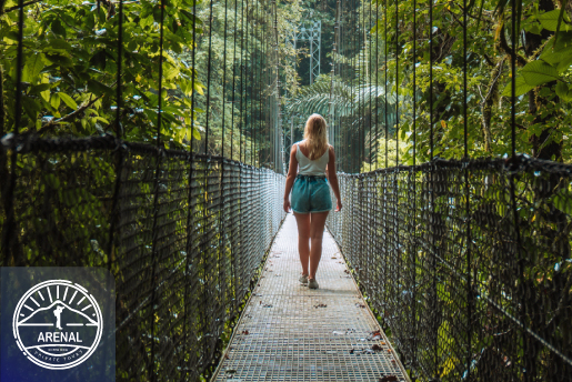 HANGING-BRIDGES-park