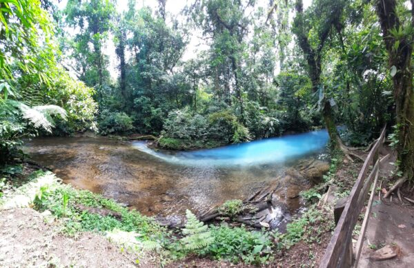 Rio Celeste waterwall-rainforest Hike privado)