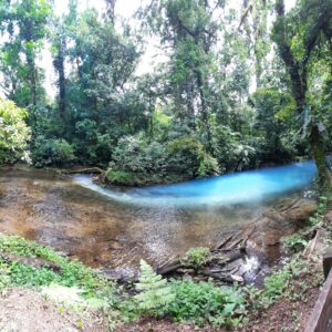 Rio Celeste waterwall-rainforest Hike (Regular)