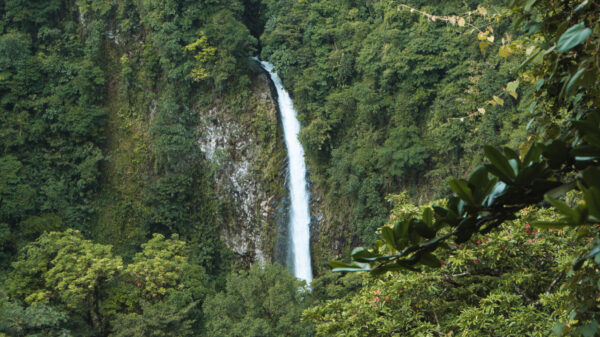 La Fortuna Waterfall (Regular)