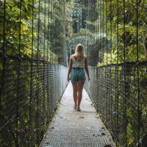 Rain Forest Hanging Bridges  and Sloth Tour (Regular)