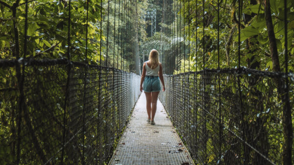Rain Forest Hanging Bridges  and Sloth Tour (Regular)