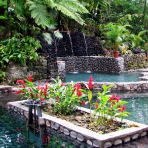 Hot Springs ECOTERMALES WITH Lunch or Dinner