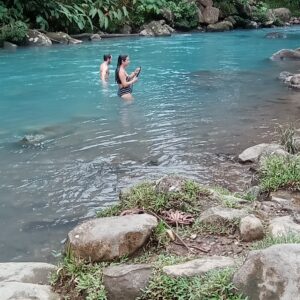 Rain Forest Río Celeste (Regular )