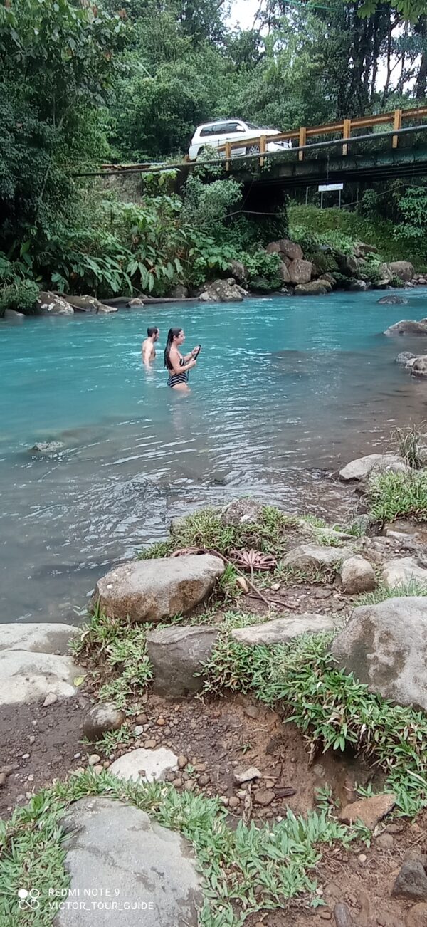 Rain Forest Río Celeste (Regular )