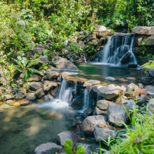 Volcano Primium Hike with natural springs pool.