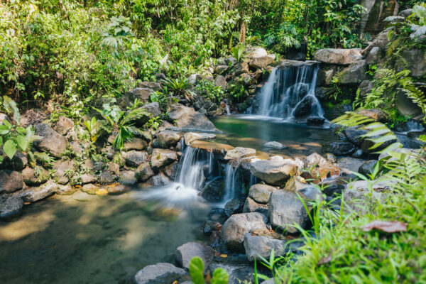 Volcano Primium Hike with natural springs pool.